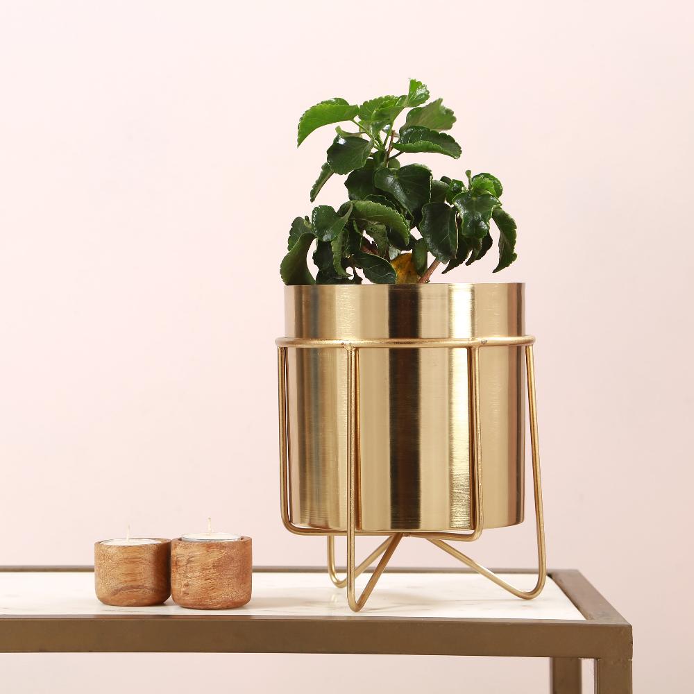 Waves Golden Metal Planter with Stand 11 inches tall