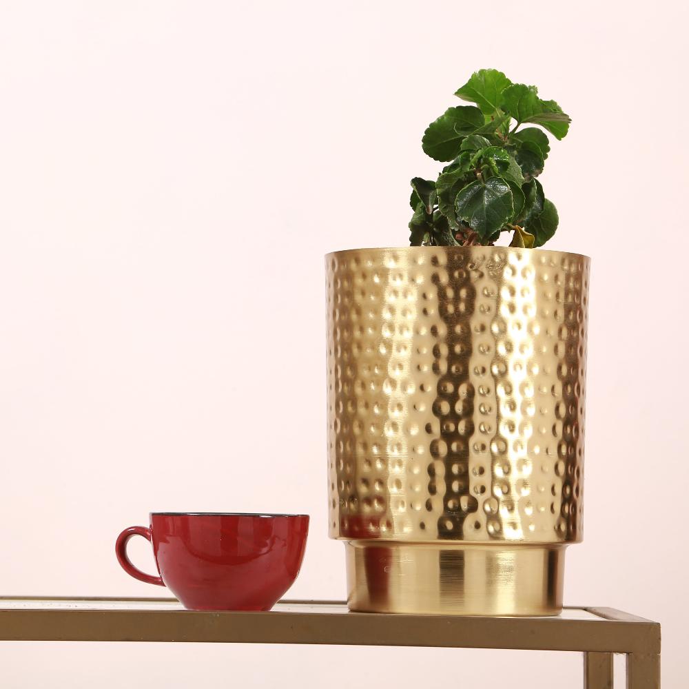 Manor House Jimmy Table Planter 10 inches