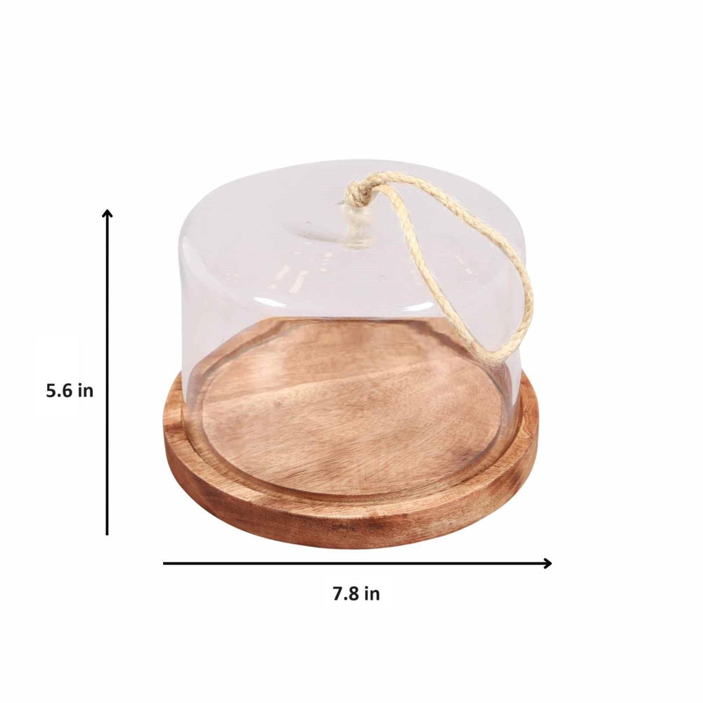 Wooden tray with a clear dome cover and measurements on a white background