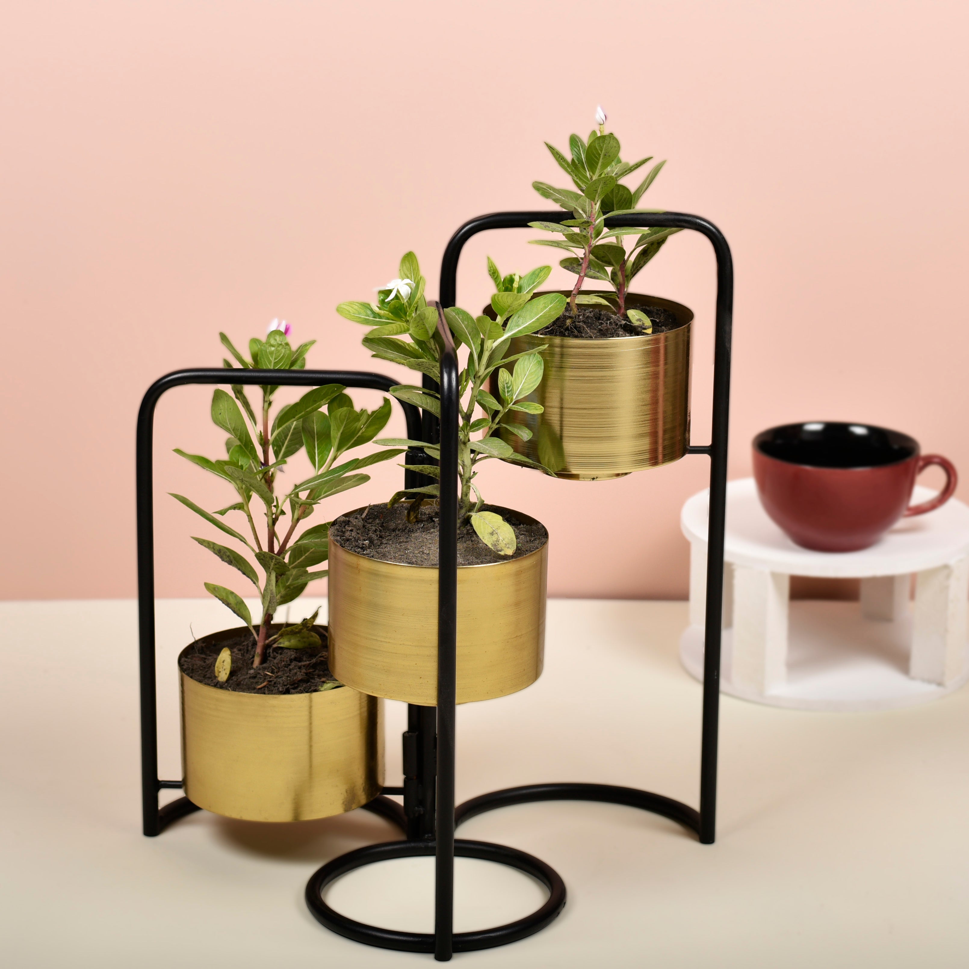 Veena Black Foldable Planter With 3 Detachable Pots