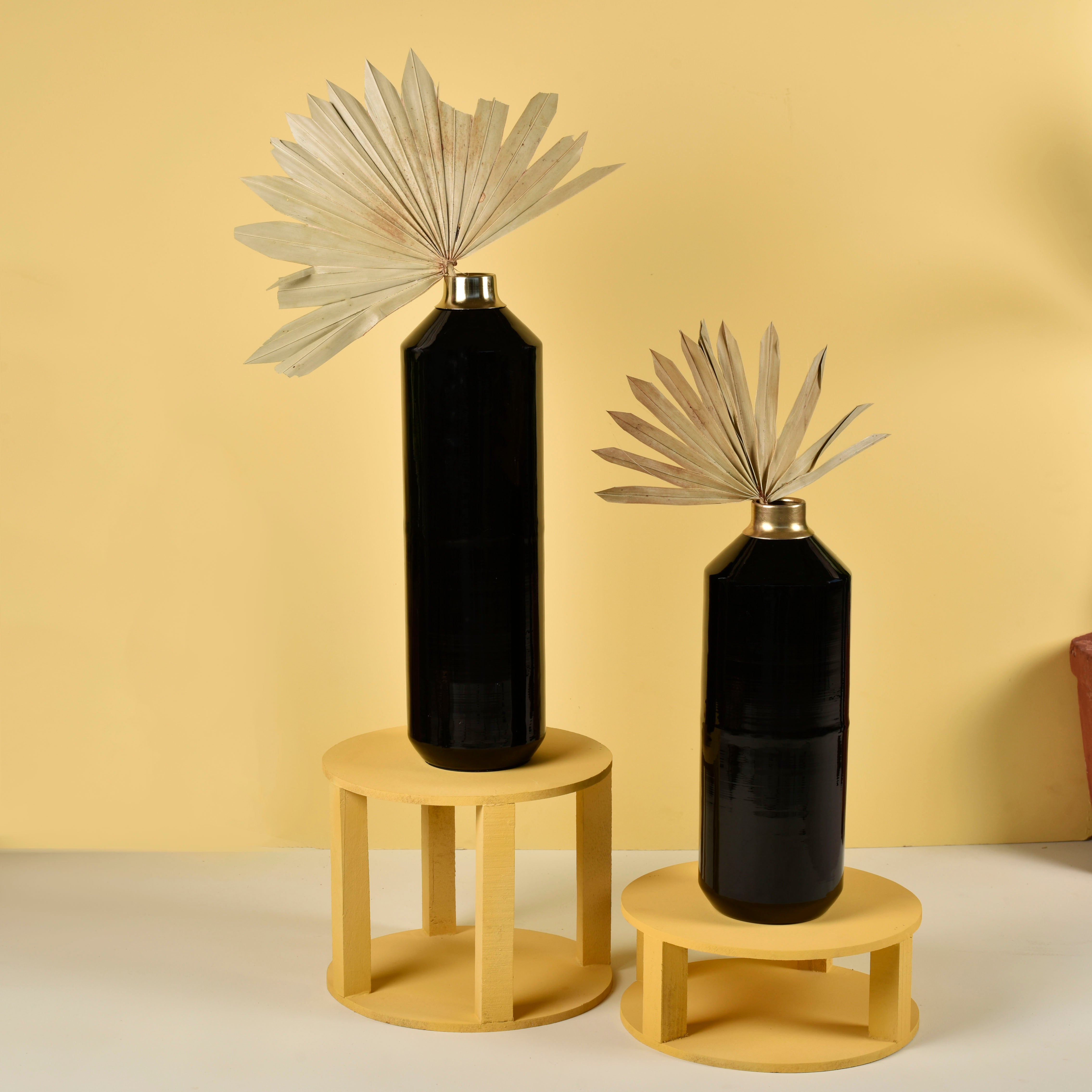 Rajni Black Metal Vases (Set of 2)Big and Small