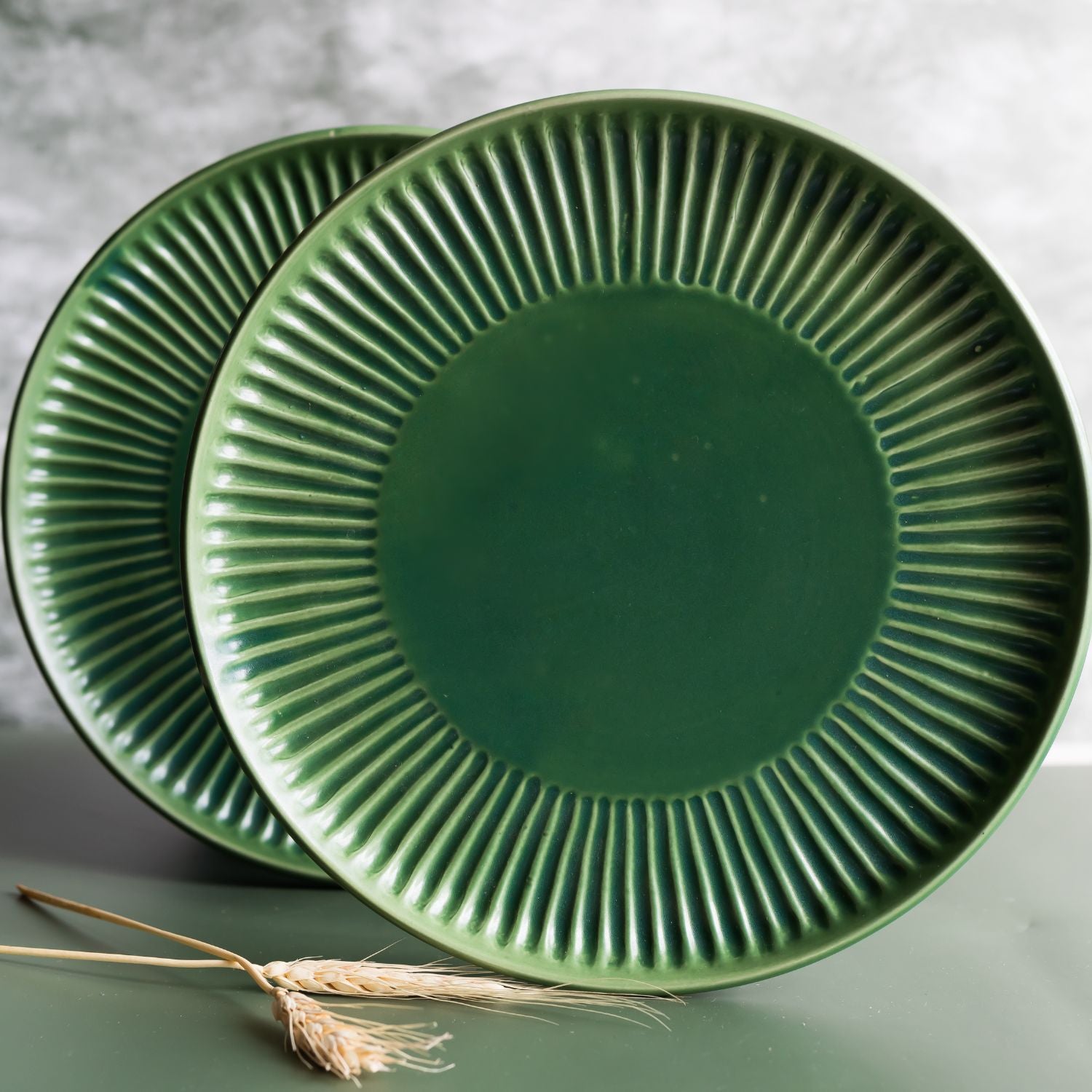 Hosta Dinner Plate