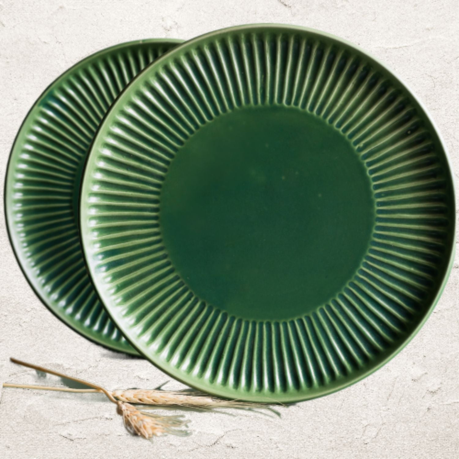 Hosta Dinner Plate