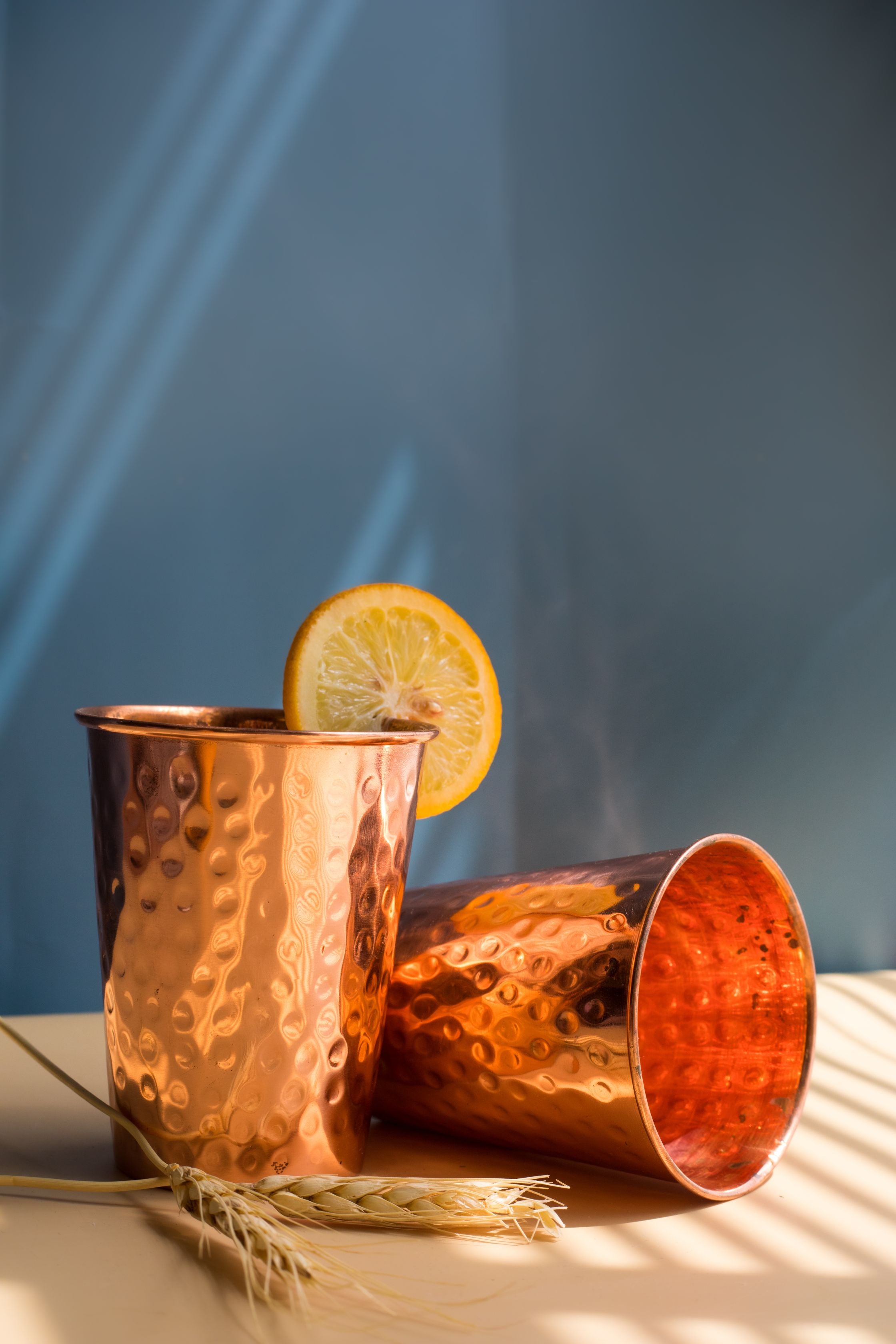 Copper Drinkware Gift Set