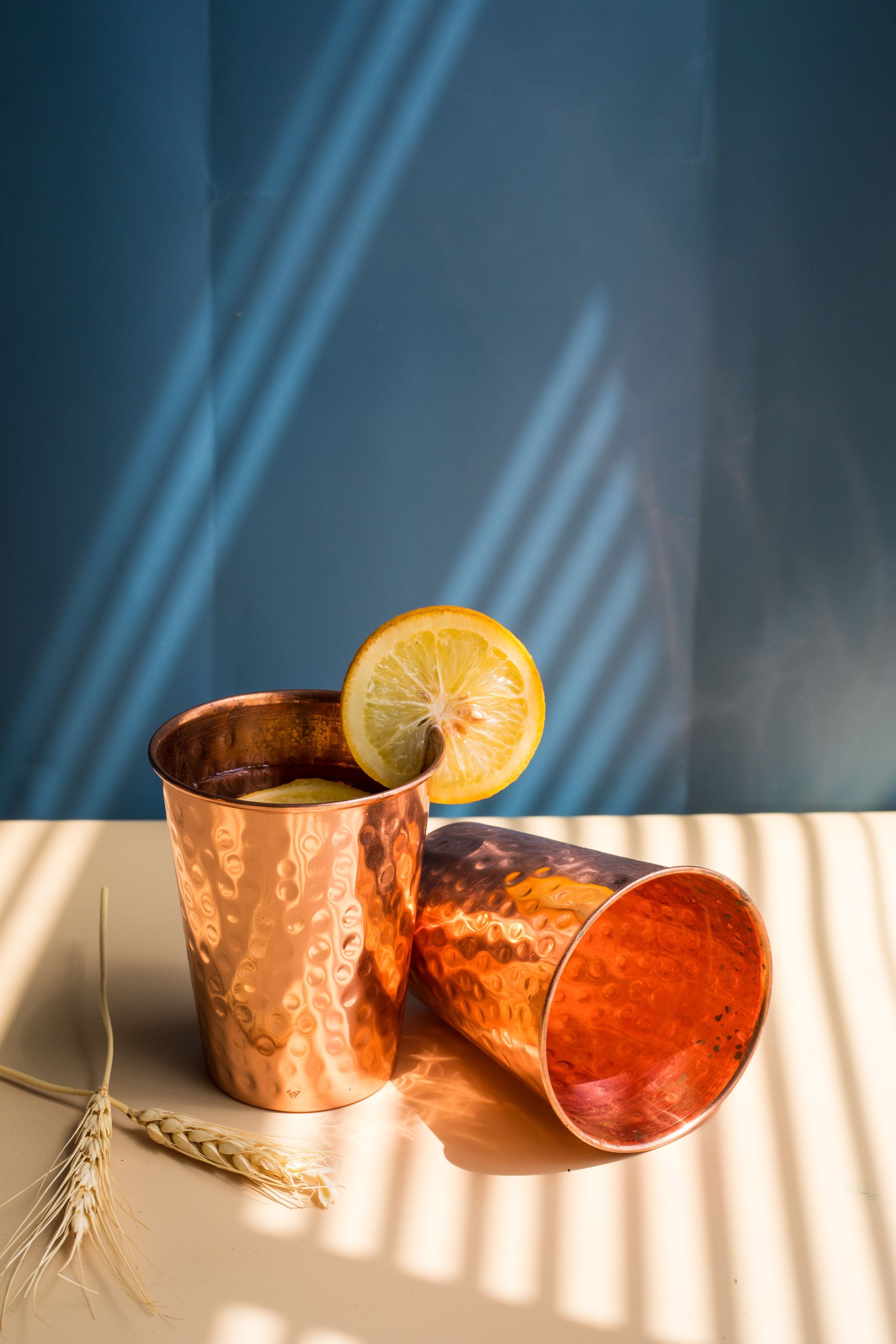 Copper Drinkware Gift Set