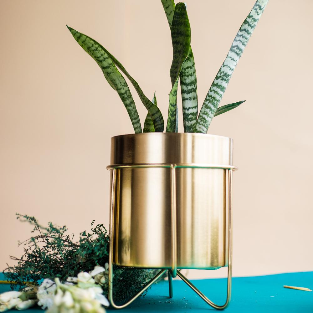 Manor House Waves Golden Metal Planter with Stand