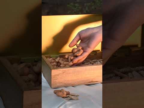Metal and Wood Decorative Box with Agate Top (Gold Finish)