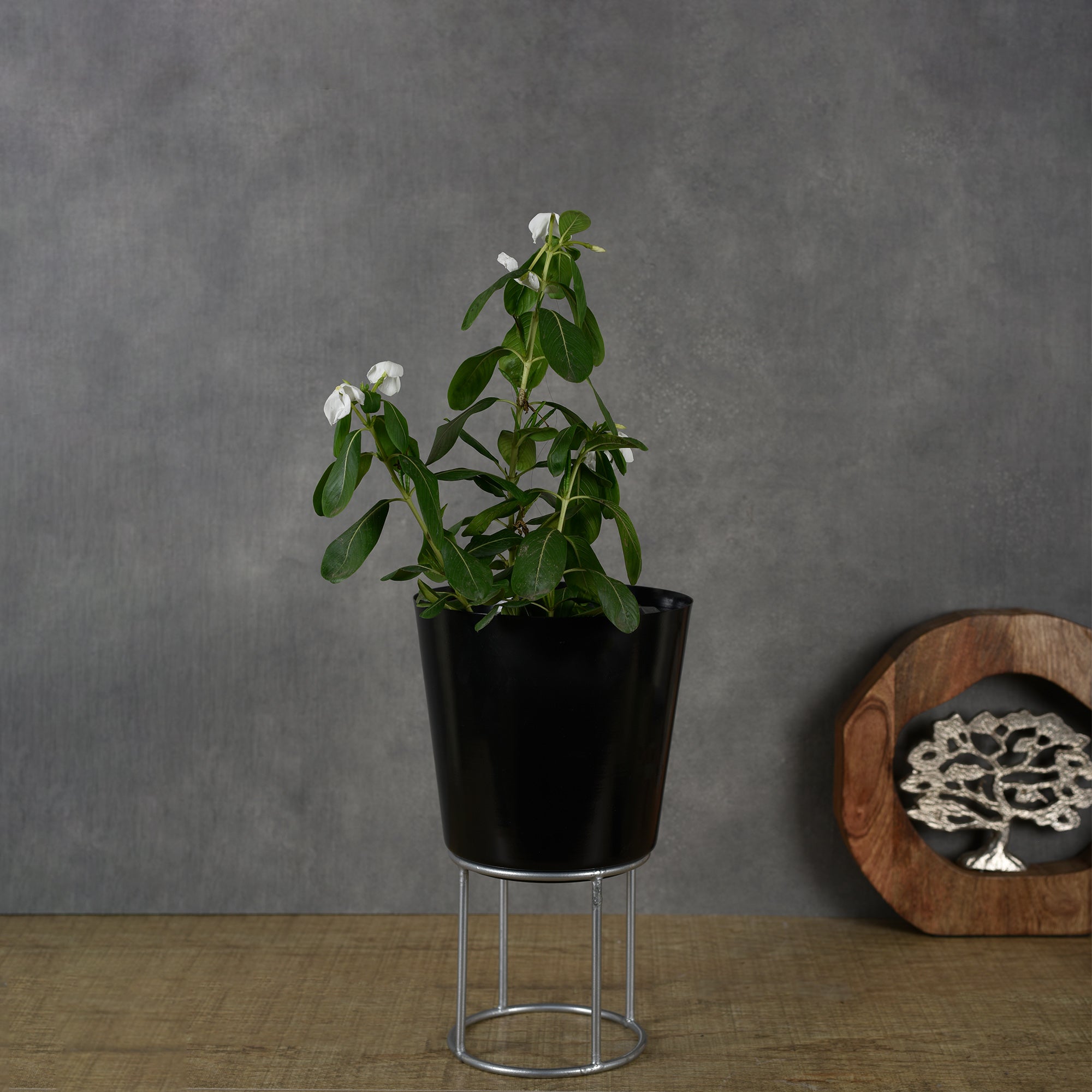Black Planter with Metal Riser 9.6 inches