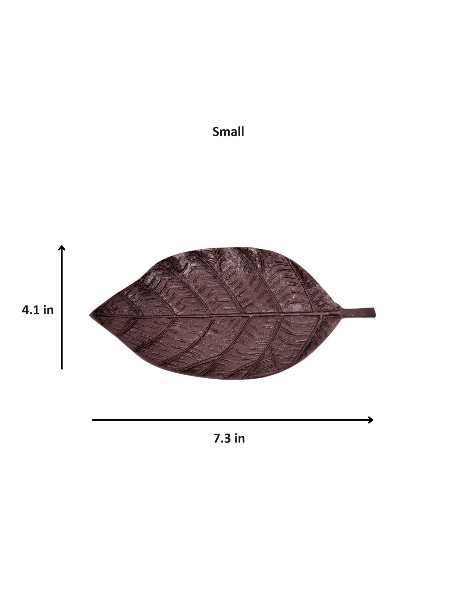Brown leaf-shaped object with measurements on a white background