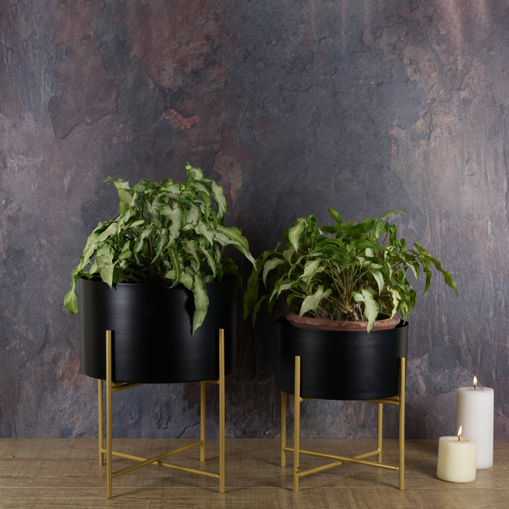 Black Planter with Golden Stand - Detachable Stand 16 inches