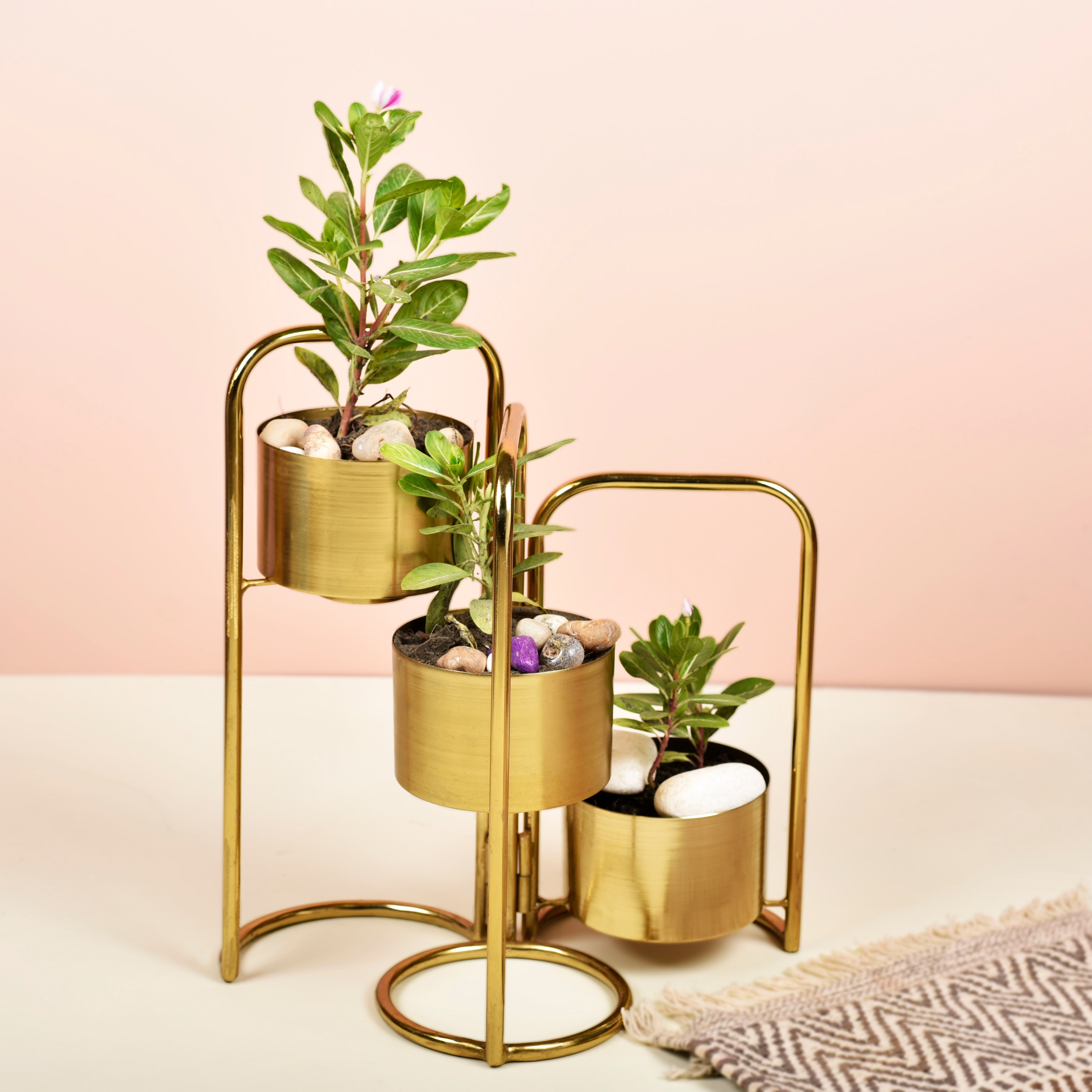 Veena Gold Foldable Planter With 3 Detachable Pots