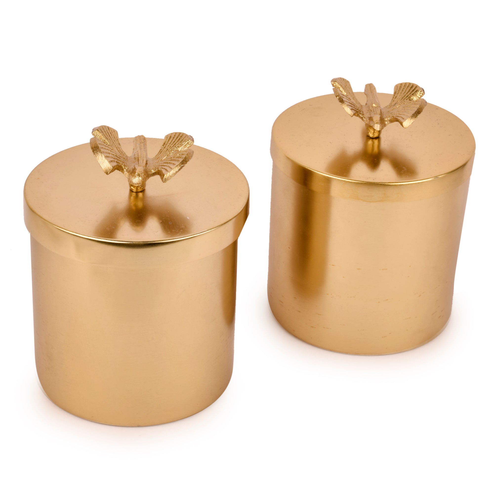 Waterfly Jars Gold Finish Set of 2