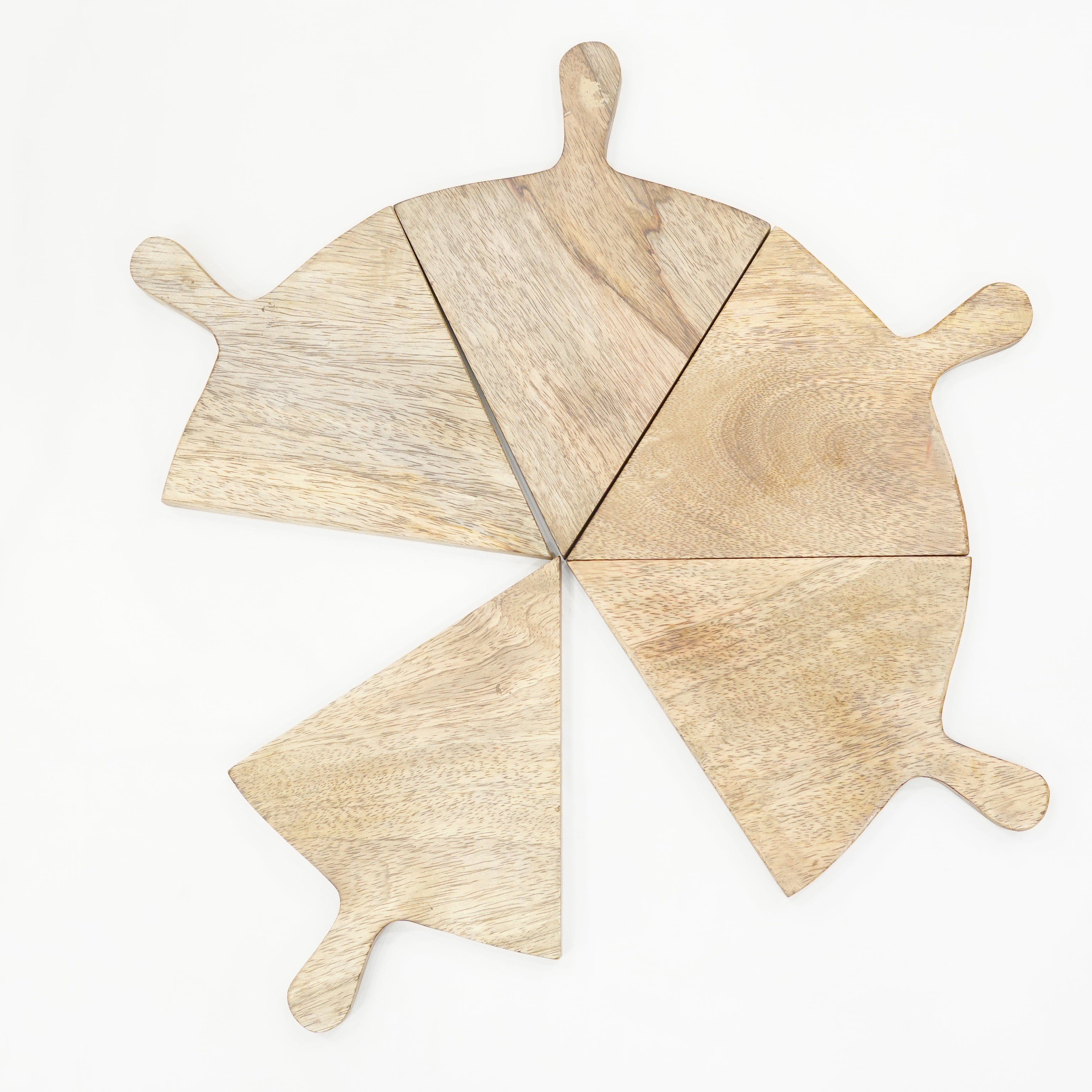 Pizza Platter Set of 5 Slices